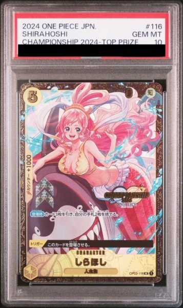 画像1: しらほし (1)