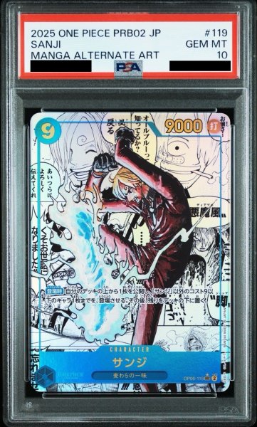 画像1: 【特価品】サンジ (1)