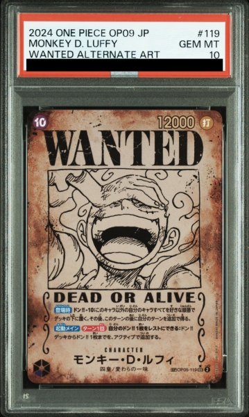 画像1: モンキー・D・ルフィ (1)