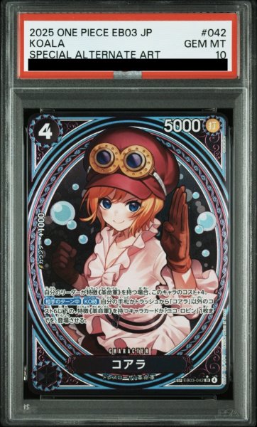 画像1: コアラ (1)