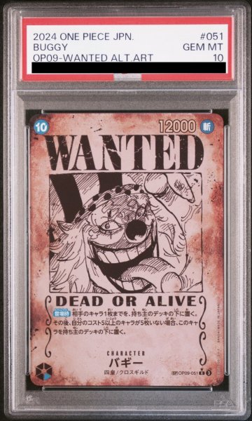 画像1: バギー (1)