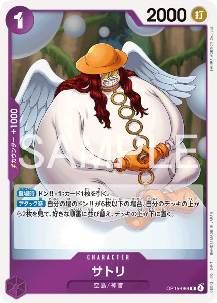 画像1: サトリ (1)